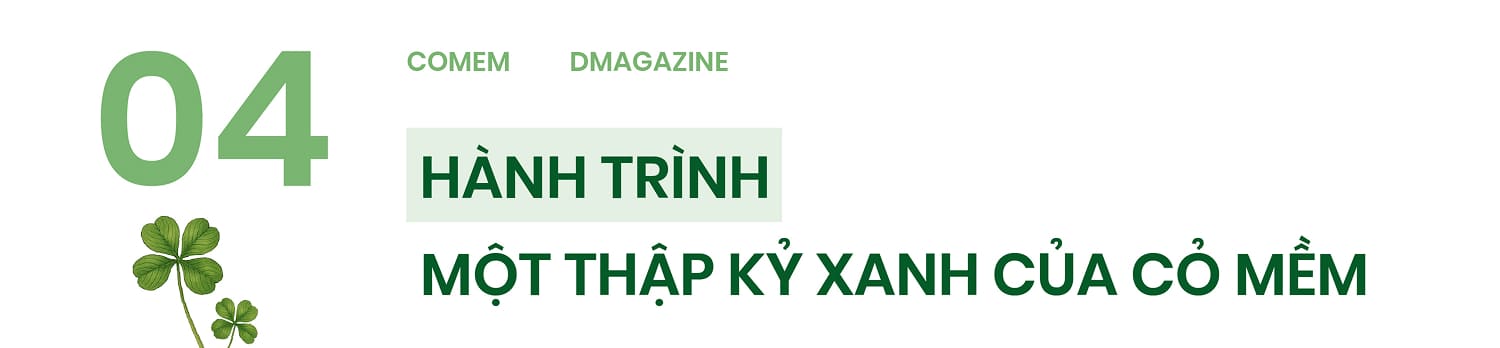 Cỏ mềm - Hanh trình một thập kỷ