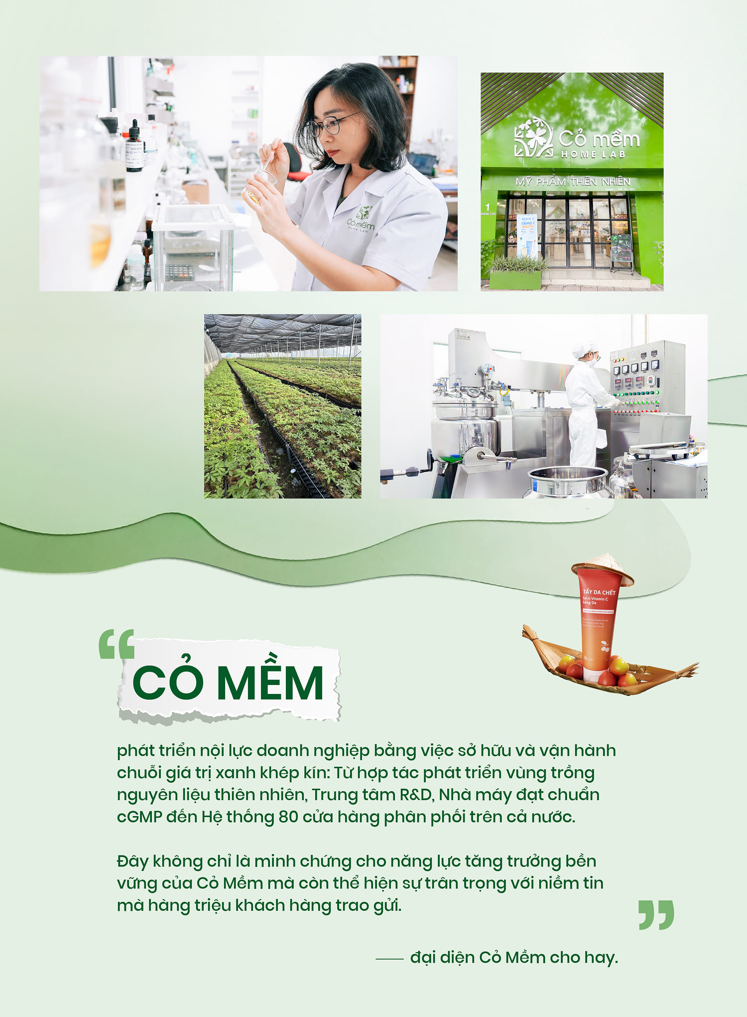Cỏ mềm - Hanh trình một thập kỷ