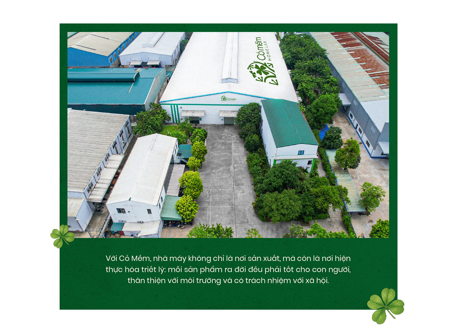 Cỏ mềm - Hanh trình một thập kỷ