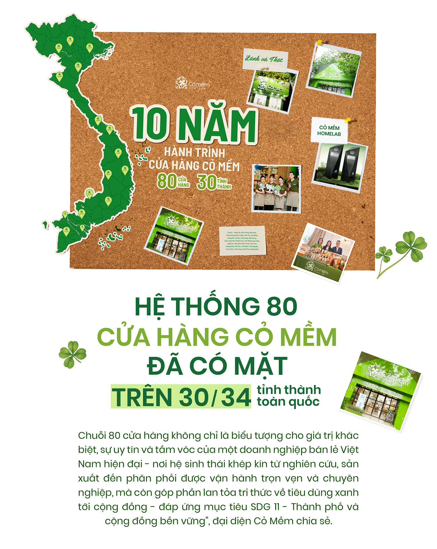Cỏ mềm - Hanh trình một thập kỷ