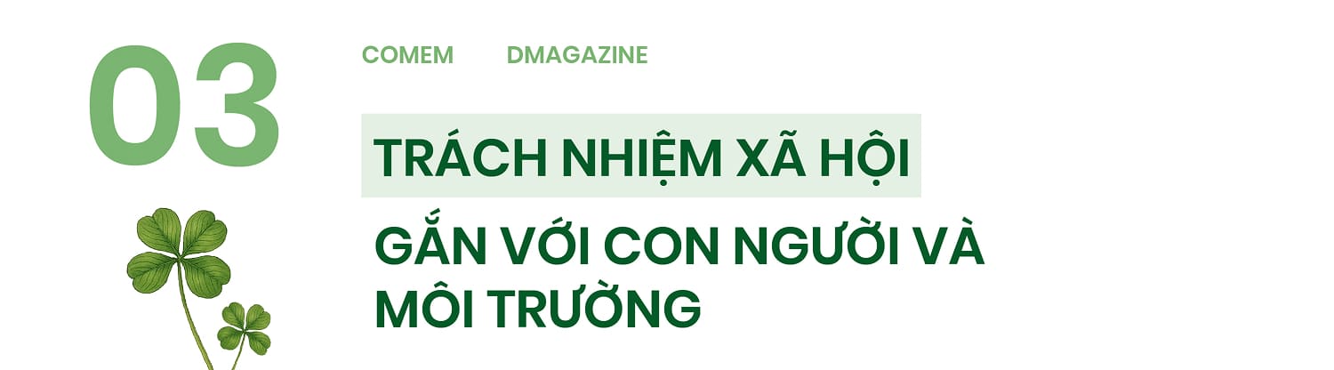 Cỏ mềm - Hanh trình một thập kỷ