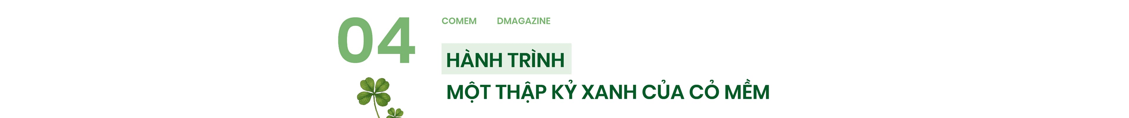 Cỏ mềm - Hanh trình một thập kỷ