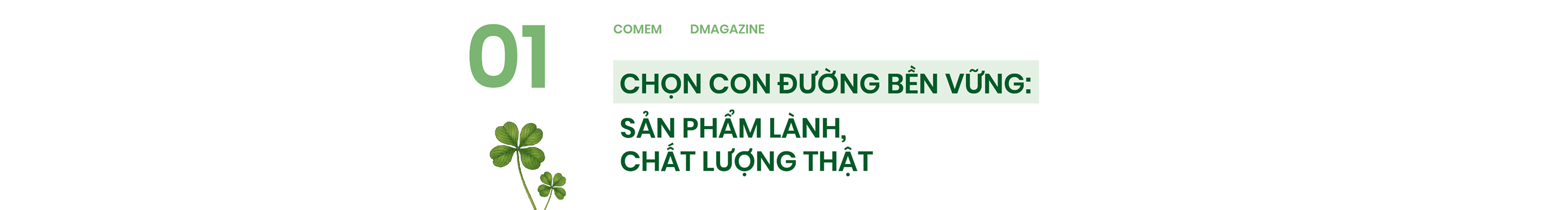 Cỏ mềm - Hanh trình một thập kỷ