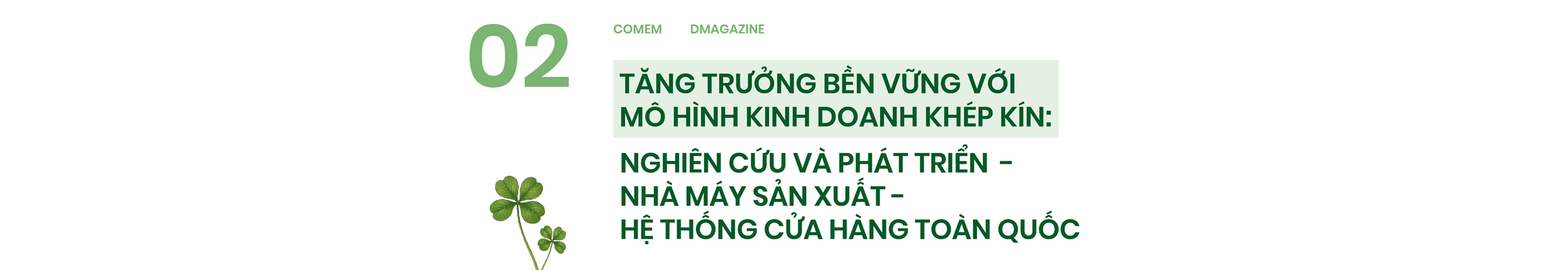Cỏ mềm - Hanh trình một thập kỷ