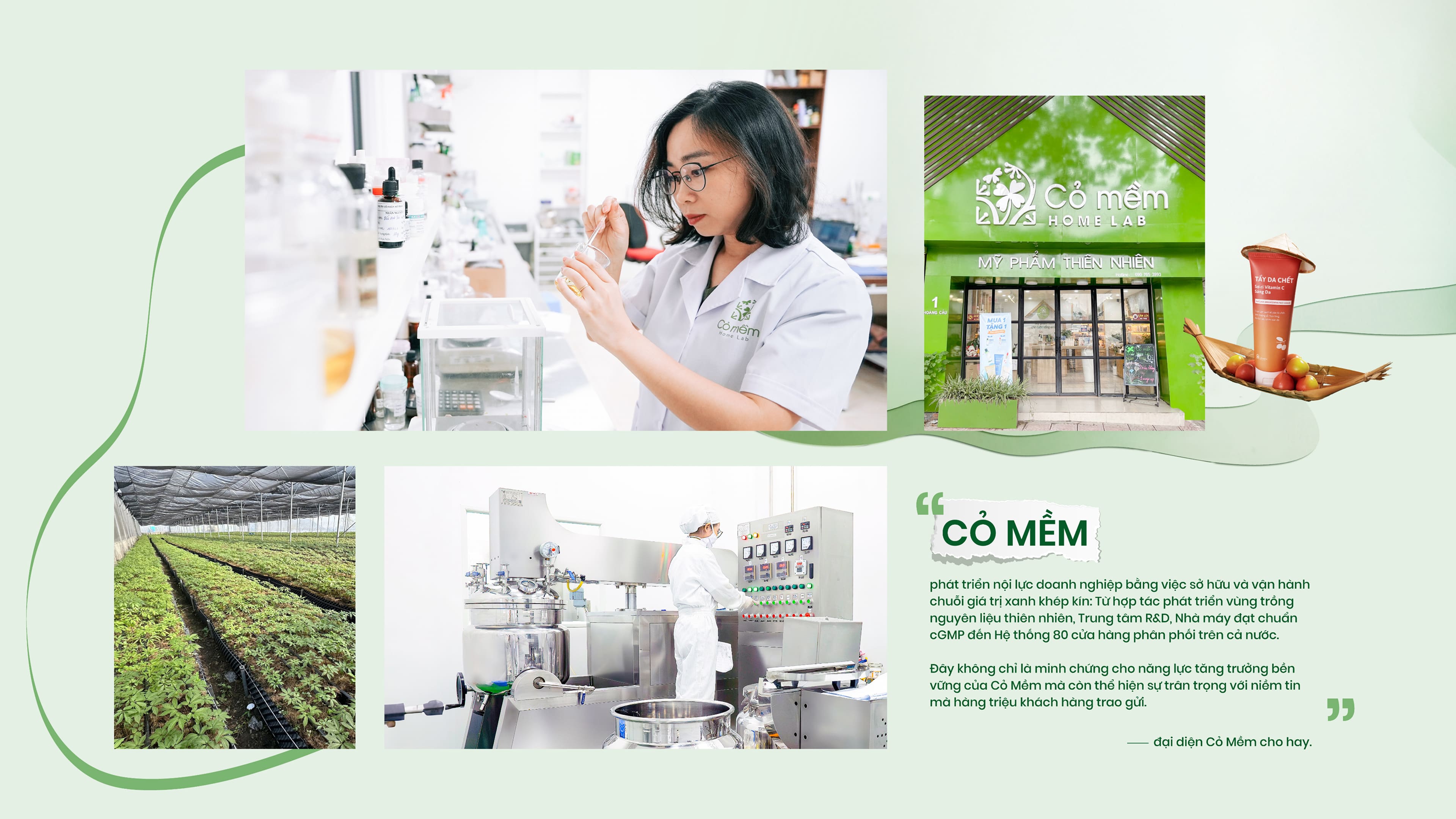 Cỏ mềm - Hanh trình một thập kỷ