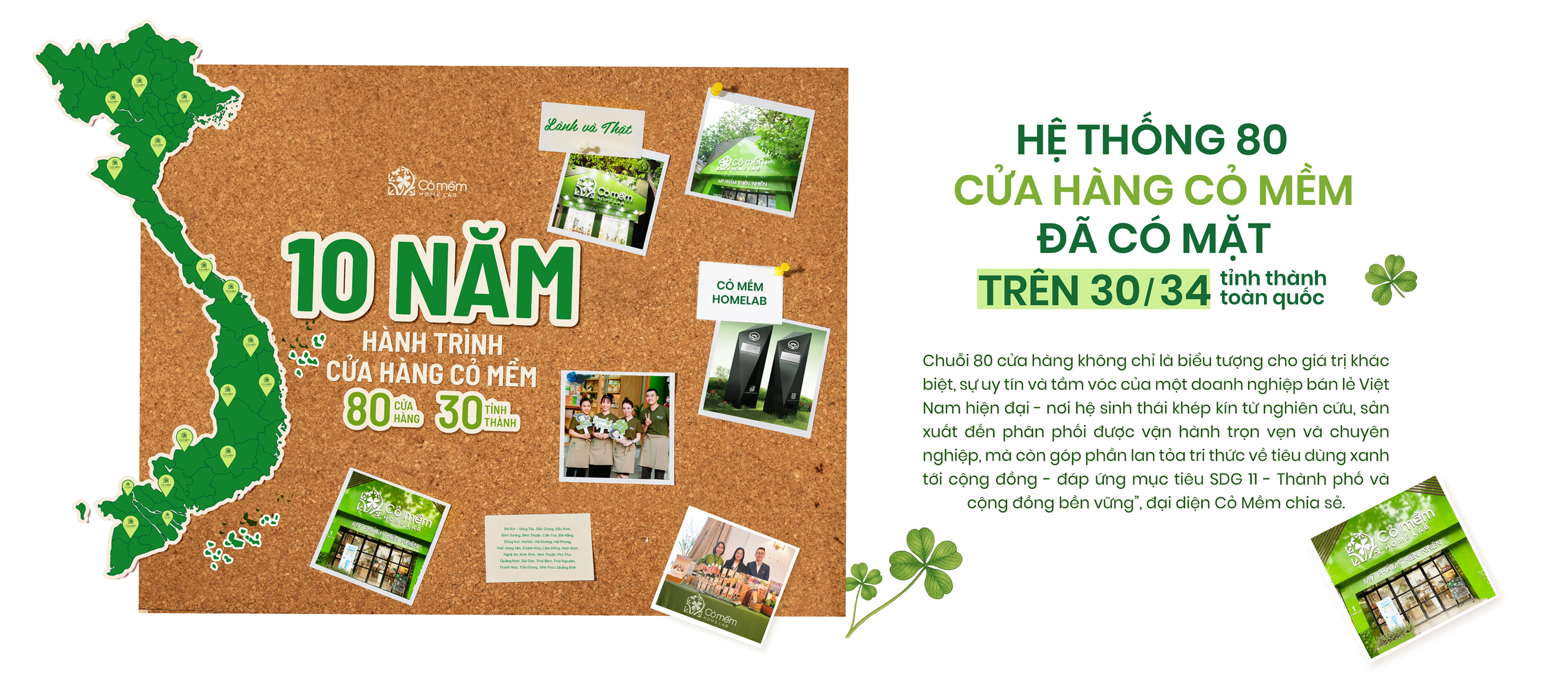 Cỏ mềm - Hanh trình một thập kỷ
