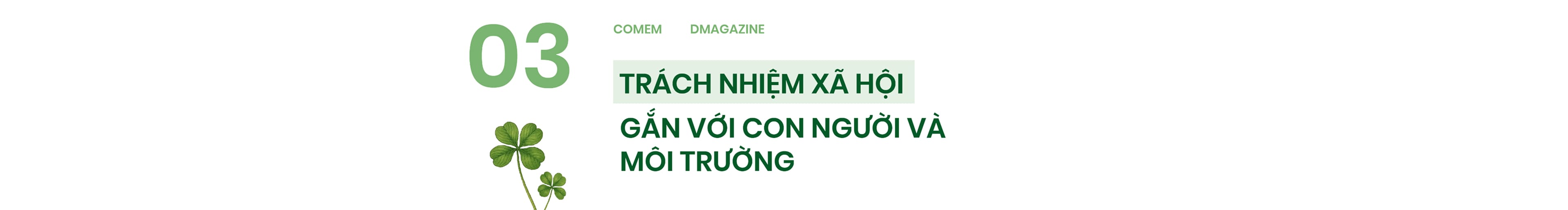 Cỏ mềm - Hanh trình một thập kỷ